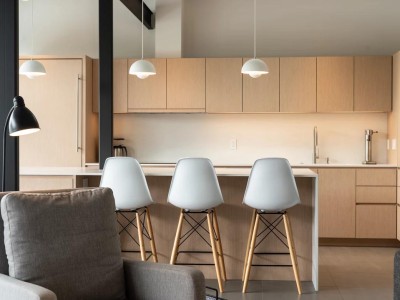 Material: Treefrog Veneer / Cabinet Style: Overlay / Door Style: Slab Beveled Edge