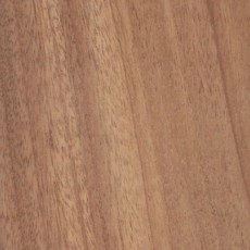 Mahogany
