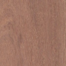 Sapele